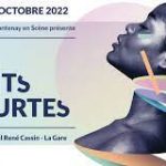 Affiche Nuits courtes 2022