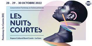 Festival des Nuits Courtes à Fontenay le Comte