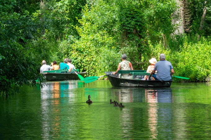 VENISE VERTE